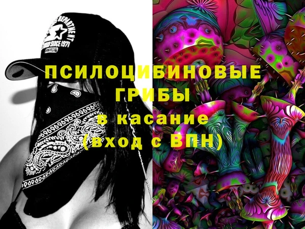 гашик Абинск