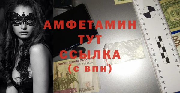 гидра Алексин