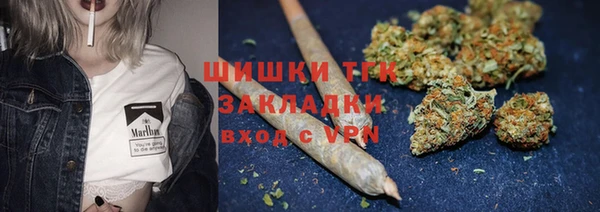 гашик Абинск