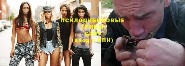 гидра Алексин