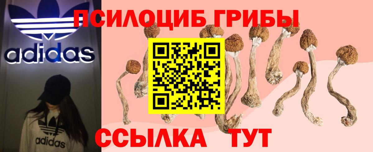 Псилоцибиновые грибы прущие грибы Каменск-Уральский